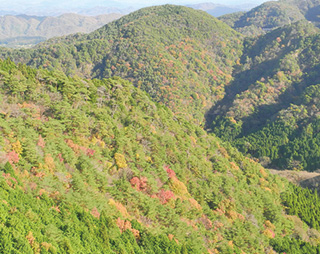 [View of the autumn mountain scenery from the Rokko-Arima Ropeway]