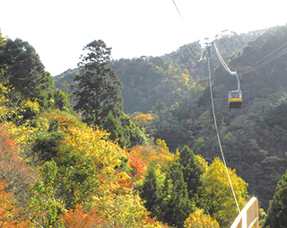 [Autumn scenery near Arima Onsen Station on the Rokko-Arima Ropeway line]