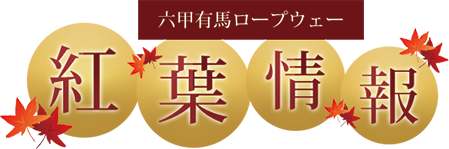 六甲有馬ロープウェー 紅葉情報